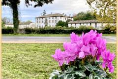 ermes-di-colloredo-valetudine_2345